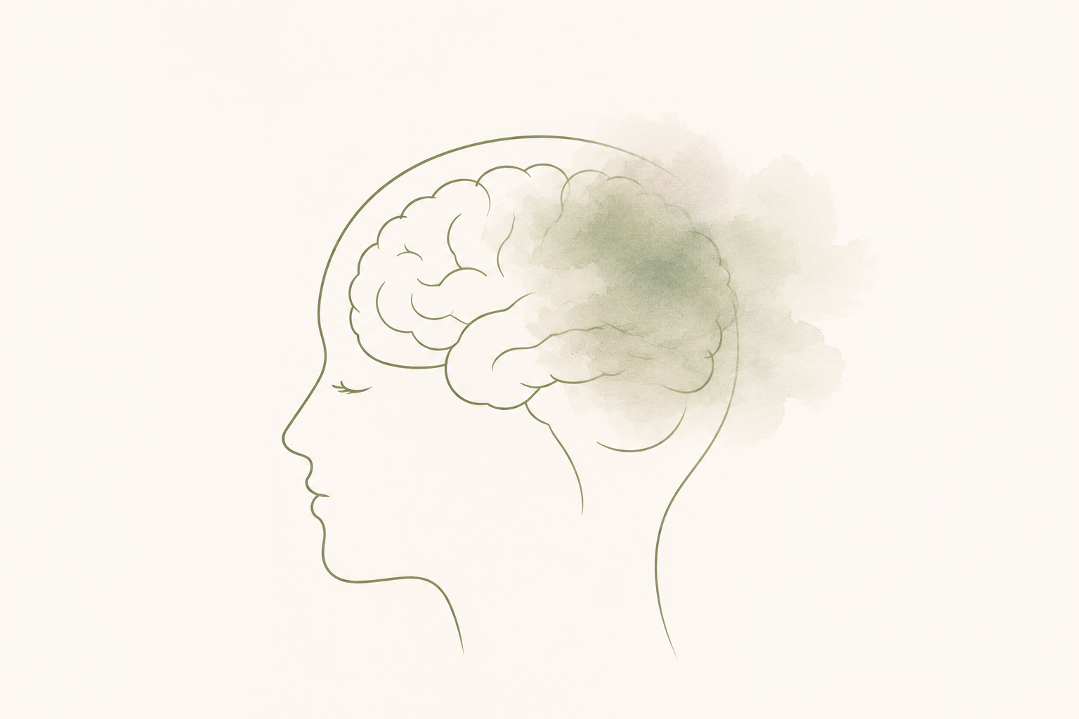 Brain Fog in Midlife: A Complete Guide