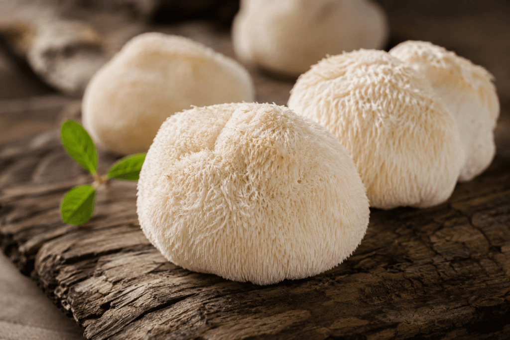 Fresh lion's mane mushroom (Hericium erinaceus) on a rustic wooden surface.