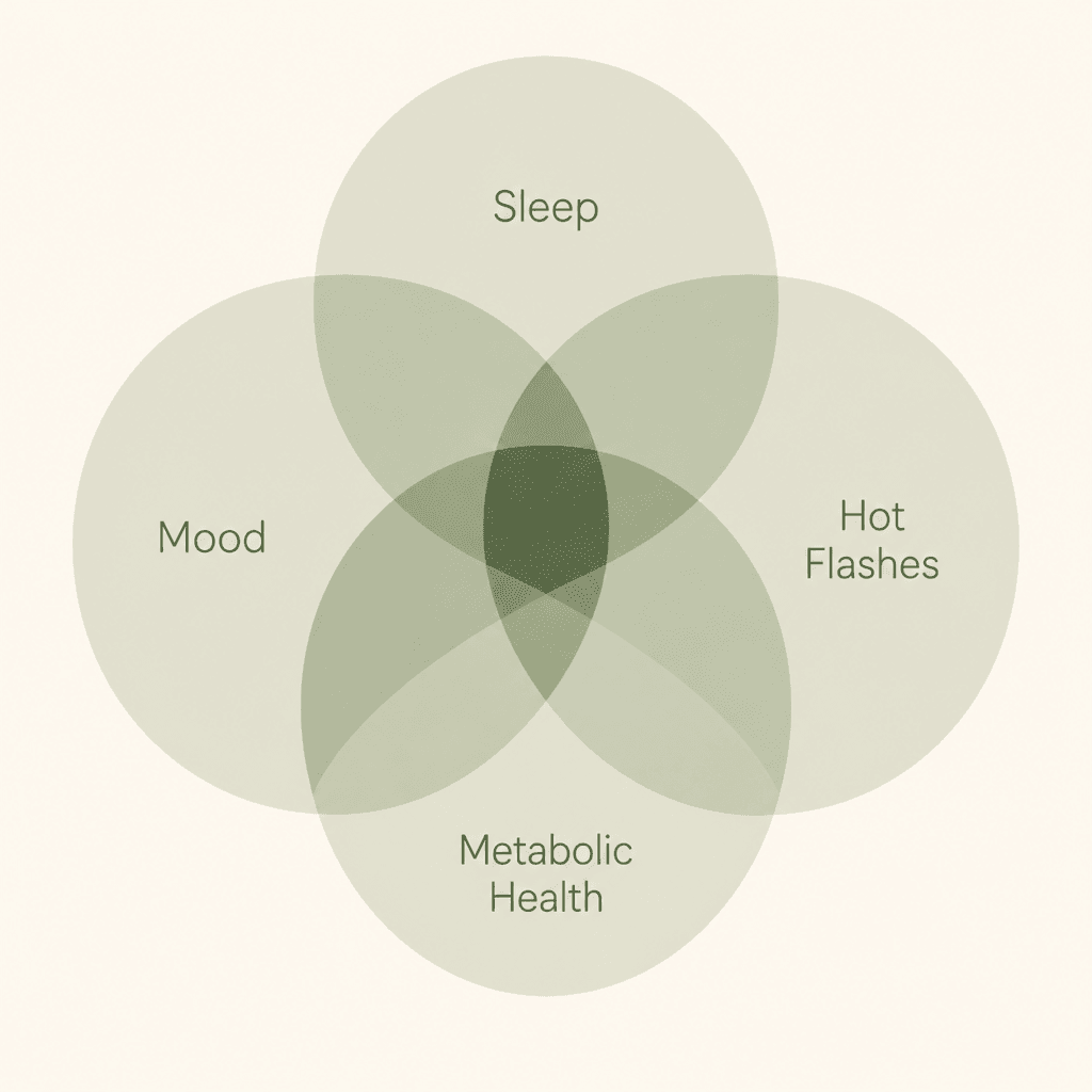 Menopause brain fog infographic showing overlapping factors including sleep, mood, hot flashes, and metabolic health.