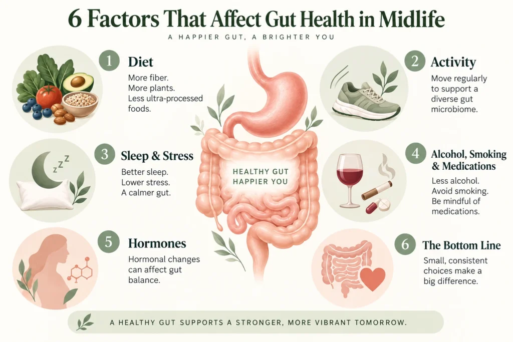 6 factors that affect gut health in midlife: diet, activity, sleep and stress, alcohol smoking and medications, hormones, and healthy habits