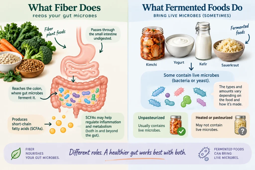 What Fiber Does vs. What Fermented Foods Do for Gut Health